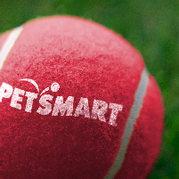 Red tennis ball with PetSmart logo on it
